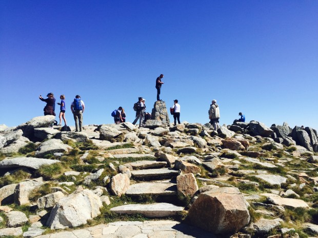 The crowd at the top of Australia